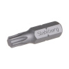 bit T 6 25mm S2, 10ks