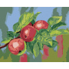 Maľovanie podľa čísel Jabloň, 40x50 cm, vypnuté plátno na rám (6041261)