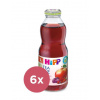 6x HiPP BIO Šípkový čaj so šťavou z červených plodov 500 ml VP-F049061
