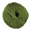 Priadza WOOLLY 50g, zelená - odtieň 082