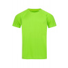 Funkčné tričko STEDMAN ACTIVE 140 RAGLAN MEN Kiwi Green zelená XL