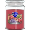 BISPOL Raspberry - White Lavender sviečka v skle s viečkom, 500g, doba horenia 100 hodín