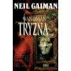 Sandman 10 - Tryzna - Neil Gaiman