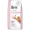 Brit Veterinary Diets GF dog Hypoallergenic 12 kg