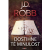 Dostihne tě minulost - Robb D.J.