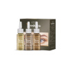 Brow Xenna Set blond farieb