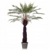 Emerald umelé papradie Dicksonia, 125 cm, v (Emerald umelé papradie Dicksonia, 125 cm, v)
