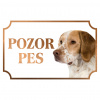 Francúzsky španiel - Kovová tabuľka POZOR PES