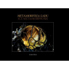 Metamorfóza ľadu / Ice Metamorphosis - Albert Russ