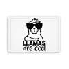 Fotoobraz 90x60 cm stredný Llamas are cool