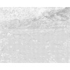 ZUTY Bodkovanie - KRAJINA S PŠENIČNÝMI SNOPMI A VYCHÁDZAJÚCIM MESIACOM (VINCENT VAN GOGH) Rámovanie: vypnuté plátno na rám, Rozmer: 80x100 cm