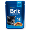 Brit Premium Cat kapsička Chicken Chunks for Kitten 100g