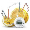 4M Citronové hodiny
