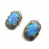 ZLATÉ NÁUŠNICE OPAL BLUE 585/14KT (ZLATÉ NÁUŠNICE OPAL BLUE 585/14KT)