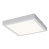 Rabalux DAMEK2 LED stropné svietidlo 71076