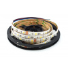 LED pásek EPISTAR 5050 RGBW | 60LED | 14,4W | 12V | IP65 | 12MM | - RGBW - DENNÍ BÍLÁ