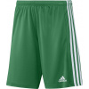 Adidas Kraťasy adidas SQUADRA 21 GN5769 GN5769 zelené L