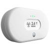AirThings View Radon 2989