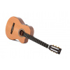 Sigma Guitars CMC-STE
