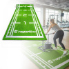Insportline Fitness koberec Graspet 10,2x2 m