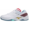 Mizuno Stealth Neo 10