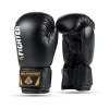 Juniorské boxerské rukavice DBX BUSHIDO ARB-407v5 6 oz.