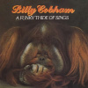 Cobham Billy: A Funky Thide of Sings CD