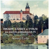 Hrady, zámky a tvrze na starých pohlednicích IV – Severní Čechy - Ladislav Kurka