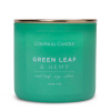 Colonial Candle - Pop of Color - Green Leaf & Hemp / Zelené listy a konope (411 g)