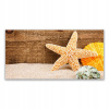 Obrázok s potlačou 140x70 Sand Starfish Art (Obrázok s potlačou 140x70 Sand Starfish Art)
