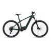 Kellys Tygon RS10 P Pine Forest 29 725Wh