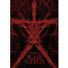 Záhada Blair Witch 3 - 20 let poté DVD