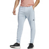 adidas TR-ES+ Pant M HZ3111 šedé