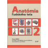 Anatómia ľudského tela 2 - Peter Mráz