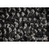 Haredim