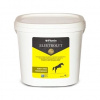 Fitmin Horse Elektrolyt 4 kg