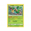 Pokémon karta Tropius 005/172