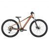 SCOTT Roxter 600 2026 - alloy brown