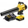 DeWALT DCM562P1