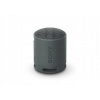 Sony SRS-XB100