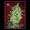 Élite Seeds - Banana Joint 3 ks - Semená neobsahujú THC