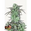 Strawberry Banana Auto - Fast Buds Balenie: 3ks
