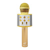 LTC 05550127 Dětský karaoke mikrofon LXMIC100R Gold