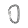 Petzl Am D screw lock