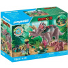 Playmobil 71821 Triceratops s mláďaťom 4008789718211