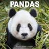 Pandas, 30,5 x 30,5 30,5 x 61 cm 2026