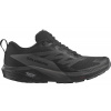 Salomon Sense Ride 5 GTX M Veľkosť: 49 1/3 EUR