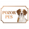 Francúzsky španiel - Kovová tabuľka POZOR PES