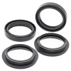 ALLBA FORK SEAL KIT SPY & DUST