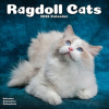 Cats Ragdoll NEW, 30,5 x 30,5 30,5 x 61 cm 2026